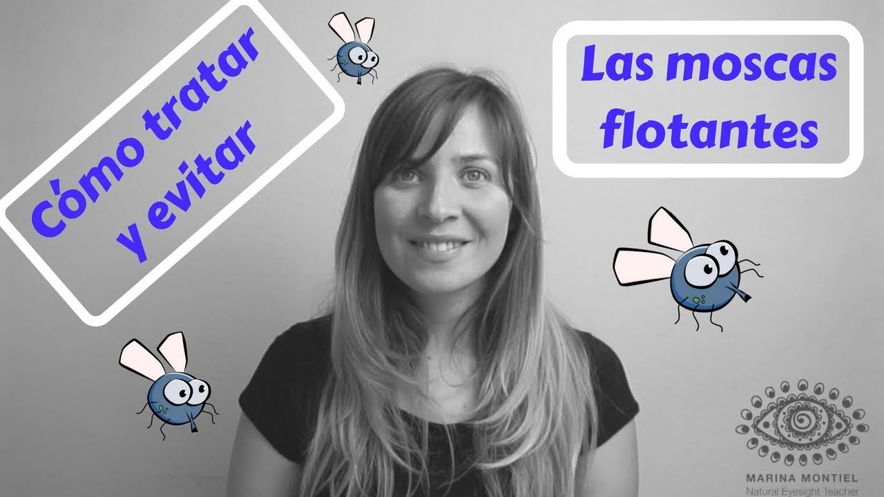 Como eliminar moscas flotantes